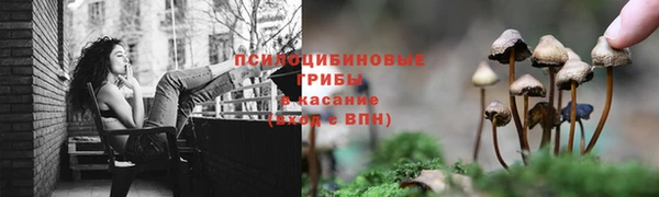 ECSTASY Алзамай
