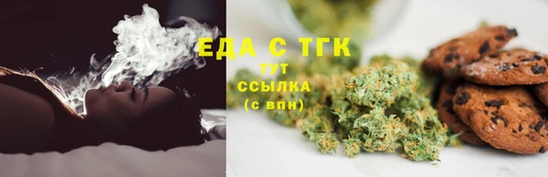 ECSTASY Алзамай