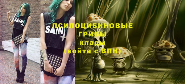 ECSTASY Алзамай