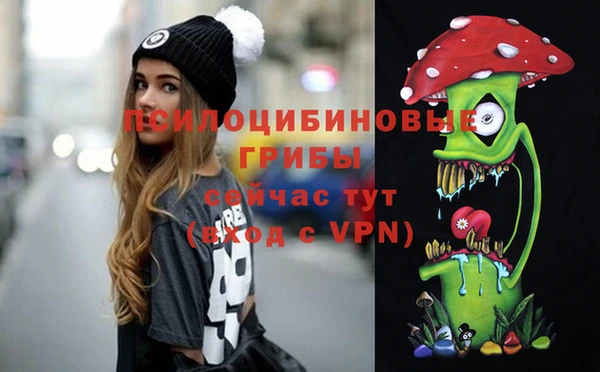 шишки Алексин