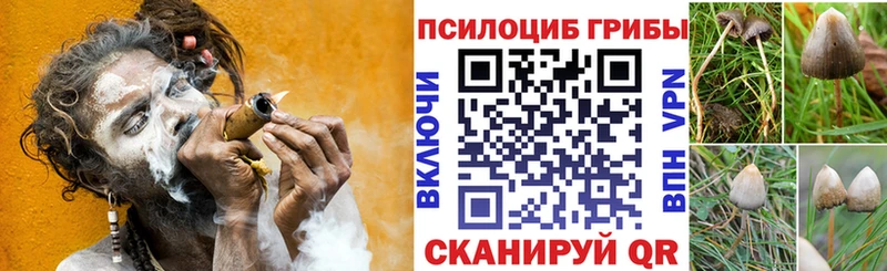 купить наркоту  Приозерск  Галлюциногенные грибы ЛСД 