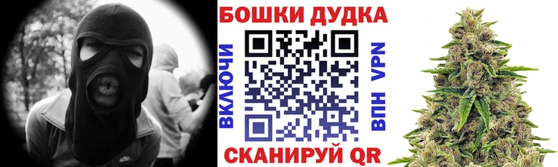 Канабис план  Приозерск 